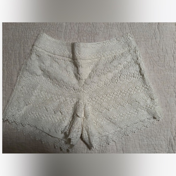 NEW Loft Rivera Short Size 8 - Picture 1 of 6
